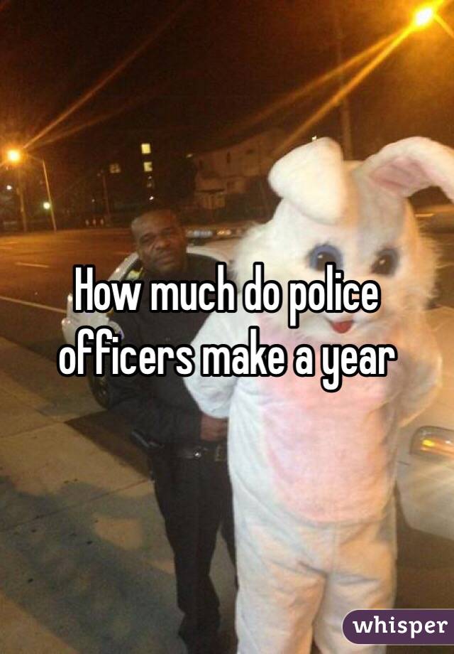 How much do police officers make a year