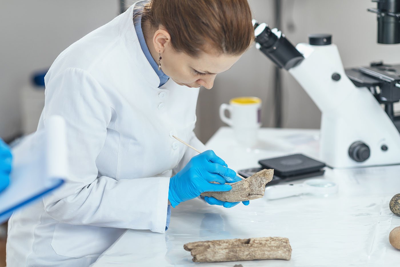 How to Become a Forensic Anthropologist: Career and Salary ...