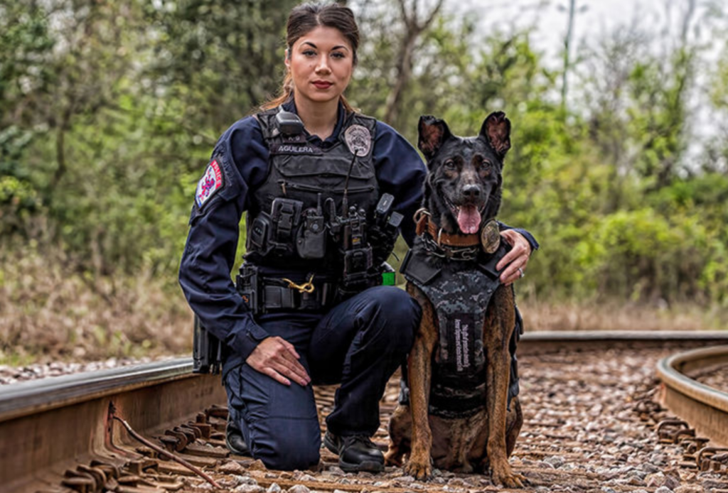 How To Become A Police Dog Trainer: Qualifications ...