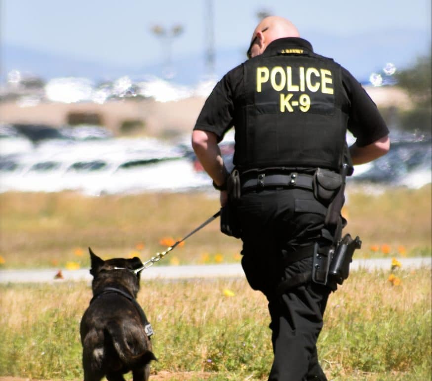 K9 Police Dog Training For Tracking The Missing People