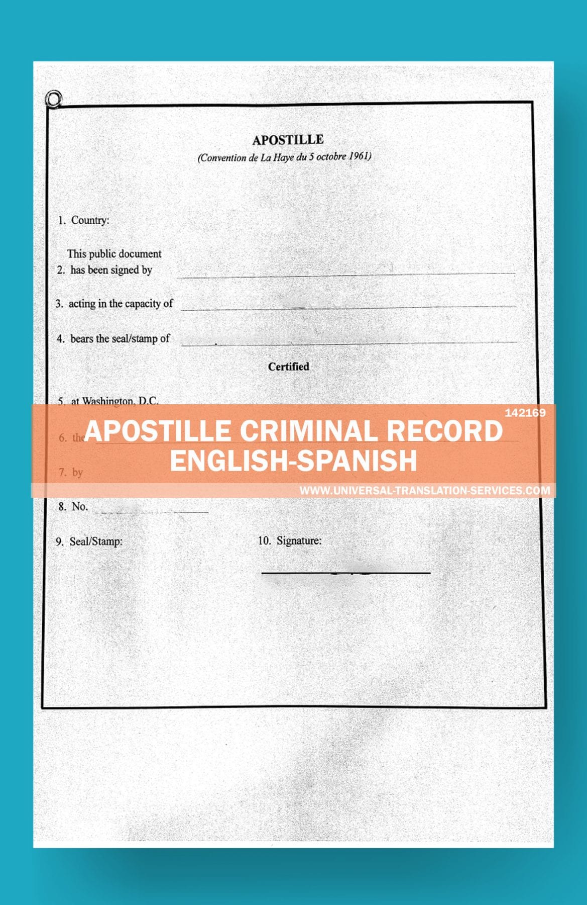 Order a Criminal Record translation template from USA